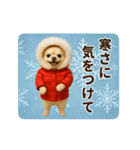 ずっと使える♡冬のチワワ（個別スタンプ：5）