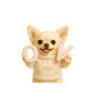 ずっと使える♡冬のチワワ（個別スタンプ：7）
