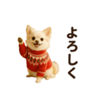 ずっと使える♡冬のチワワ（個別スタンプ：11）