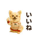 ずっと使える♡冬のチワワ（個別スタンプ：13）