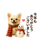 ずっと使える♡冬のチワワ（個別スタンプ：21）