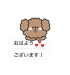 トイプードルさん◎吹き出し #2（個別スタンプ：1）