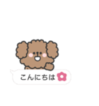 トイプードルさん◎吹き出し #2（個別スタンプ：3）