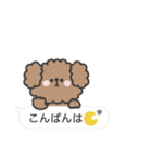 トイプードルさん◎吹き出し #2（個別スタンプ：4）