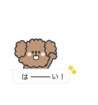 トイプードルさん◎吹き出し #2（個別スタンプ：7）