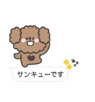 トイプードルさん◎吹き出し #2（個別スタンプ：11）