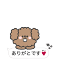 トイプードルさん◎吹き出し #2（個別スタンプ：12）