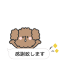 トイプードルさん◎吹き出し #2（個別スタンプ：13）