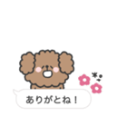 トイプードルさん◎吹き出し #2（個別スタンプ：15）