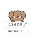 トイプードルさん◎吹き出し #2（個別スタンプ：16）