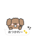 トイプードルさん◎吹き出し #2（個別スタンプ：19）