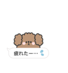 トイプードルさん◎吹き出し #2（個別スタンプ：20）