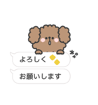 トイプードルさん◎吹き出し #2（個別スタンプ：24）