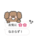 トイプードルさん◎吹き出し #2（個別スタンプ：27）