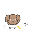 トイプードルさん◎吹き出し #2（個別スタンプ：36）