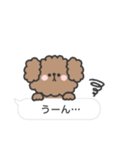トイプードルさん◎吹き出し #2（個別スタンプ：37）