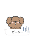 トイプードルさん◎吹き出し #2（個別スタンプ：38）