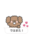 トイプードルさん◎吹き出し #2（個別スタンプ：39）
