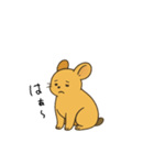 Ezo pika（個別スタンプ：2）