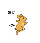 Ezo pika（個別スタンプ：37）