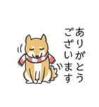 柴犬スタンプ（冬）（個別スタンプ：1）