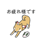 柴犬スタンプ（冬）（個別スタンプ：2）