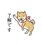 柴犬スタンプ（冬）（個別スタンプ：3）