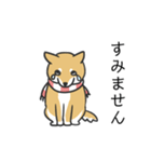 柴犬スタンプ（冬）（個別スタンプ：4）