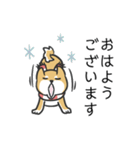 柴犬スタンプ（冬）（個別スタンプ：5）