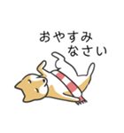 柴犬スタンプ（冬）（個別スタンプ：8）