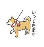 柴犬スタンプ（冬）（個別スタンプ：9）