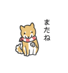 柴犬スタンプ（冬）（個別スタンプ：13）