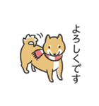 柴犬スタンプ（冬）（個別スタンプ：15）
