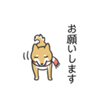 柴犬スタンプ（冬）（個別スタンプ：16）