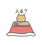 柴犬スタンプ（冬）（個別スタンプ：17）