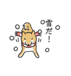 柴犬スタンプ（冬）（個別スタンプ：19）