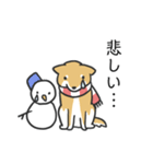 柴犬スタンプ（冬）（個別スタンプ：23）