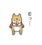 柴犬スタンプ（冬）（個別スタンプ：24）