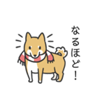 柴犬スタンプ（冬）（個別スタンプ：26）