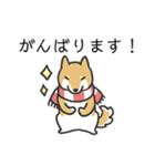 柴犬スタンプ（冬）（個別スタンプ：28）