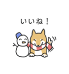 柴犬スタンプ（冬）（個別スタンプ：29）