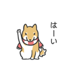 柴犬スタンプ（冬）（個別スタンプ：31）