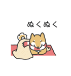柴犬スタンプ（冬）（個別スタンプ：33）