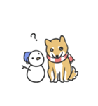 柴犬スタンプ（冬）（個別スタンプ：34）