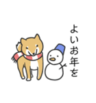 柴犬スタンプ（冬）（個別スタンプ：38）