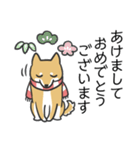 柴犬スタンプ（冬）（個別スタンプ：39）