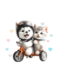 シベリアンハスキーとねこ♡文字なし（個別スタンプ：1）