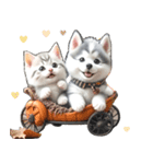 シベリアンハスキーとねこ♡文字なし（個別スタンプ：5）