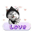 シベリアンハスキーとねこ♡文字なし（個別スタンプ：6）