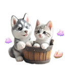 シベリアンハスキーとねこ♡文字なし（個別スタンプ：7）